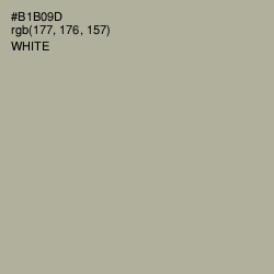 #B1B09D - Heathered Gray Color Image